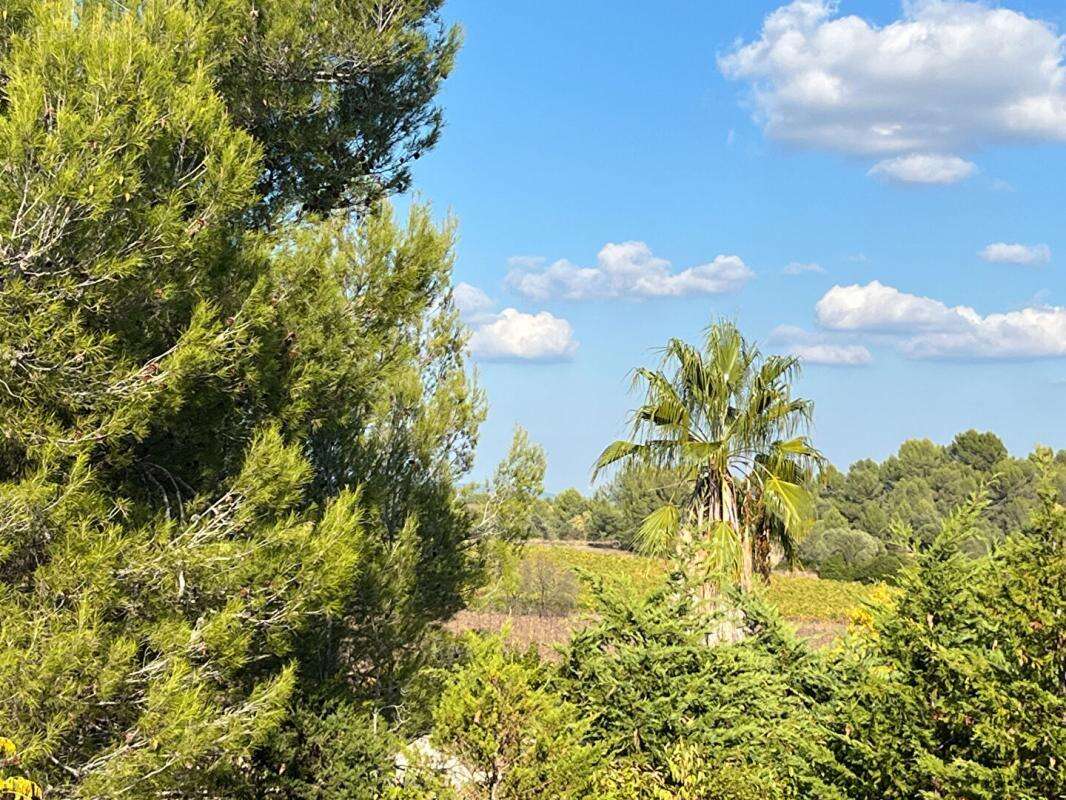 Maison à SAINT-DREZERY