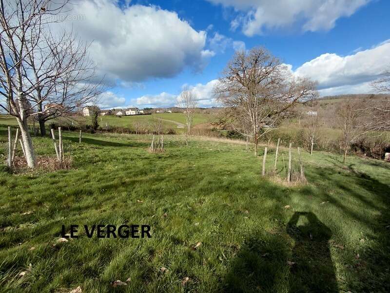 Grande maison rénovée de 220 m² avec atelier, terrasse panoramique et verger – Mourjou (Puycapel  cantal) - photo 2