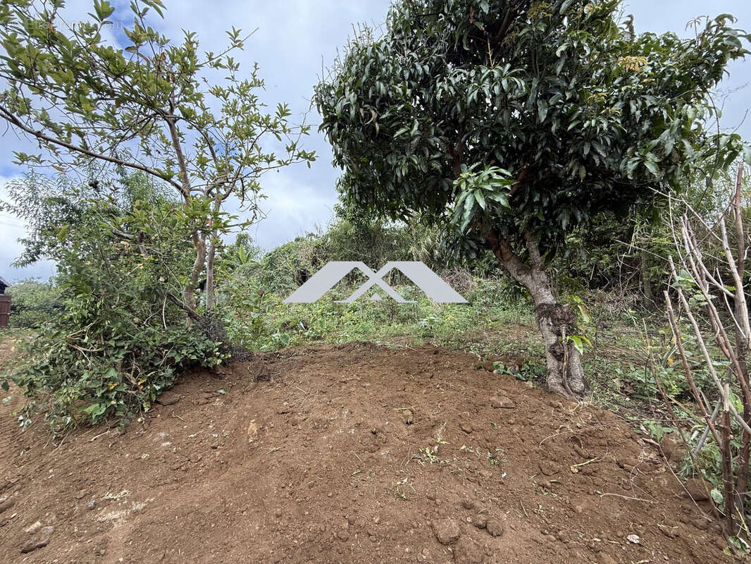 Terrain à LE TAMPON