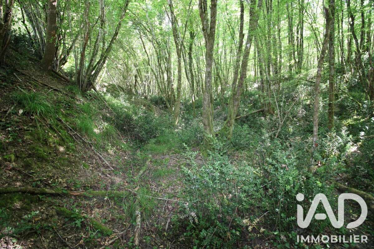 Terrain 14982 m² à Montdurausse  - photo 8