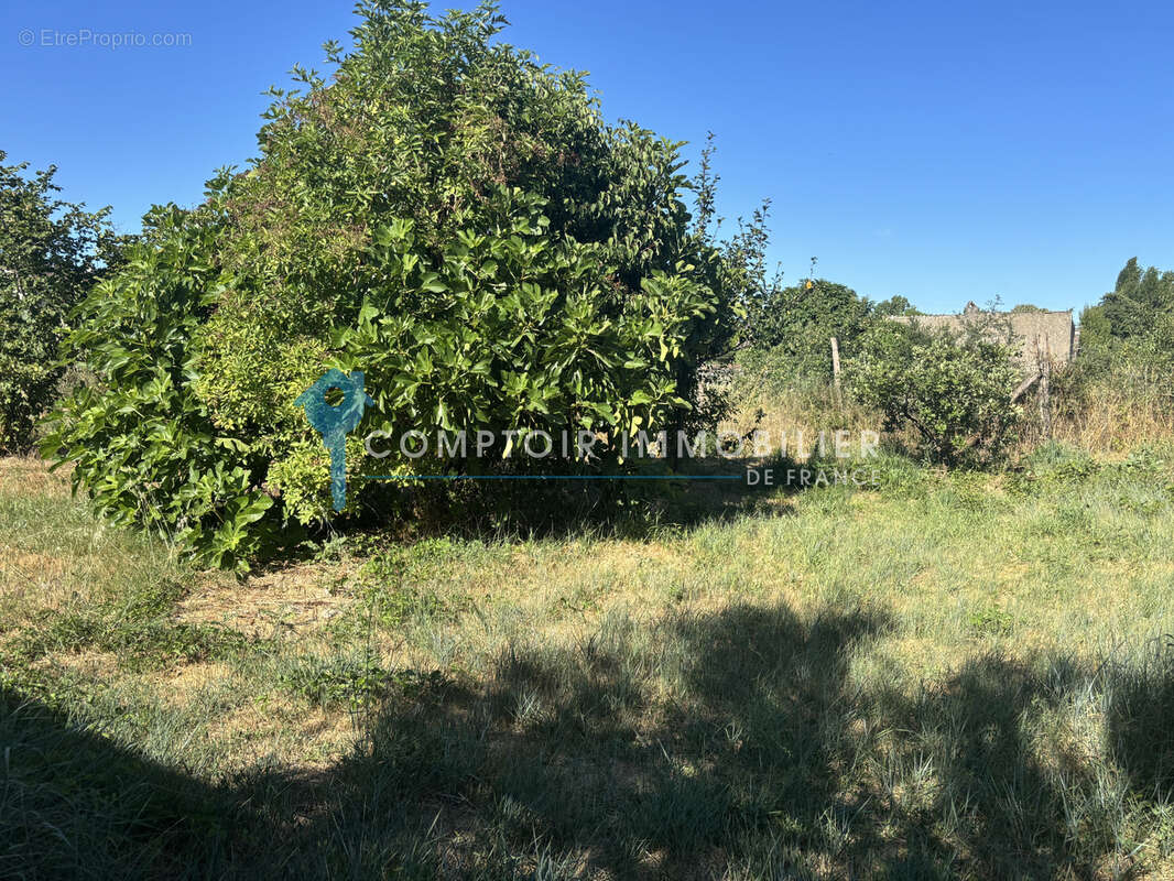 Terrain constructible Briatexte 81Tarn proche centre ville - photo 4
