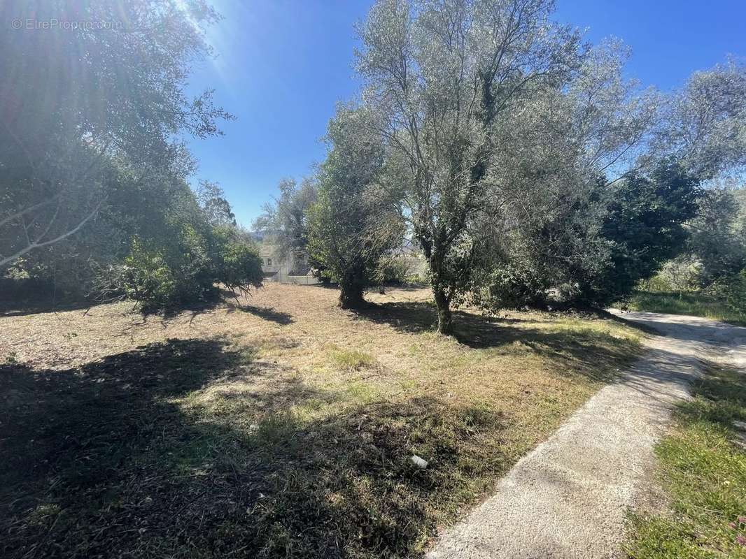 Terrain à CONTES