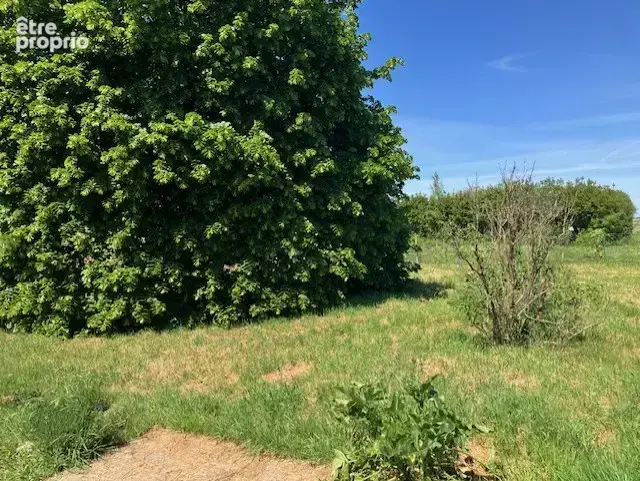 Charmante maison en pierre secteur calme sur 800m2environ - photo 3