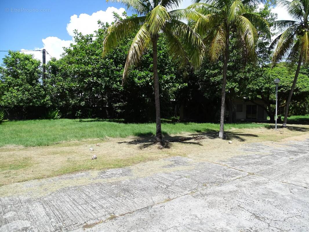 Terrain à SAINTE-ANNE