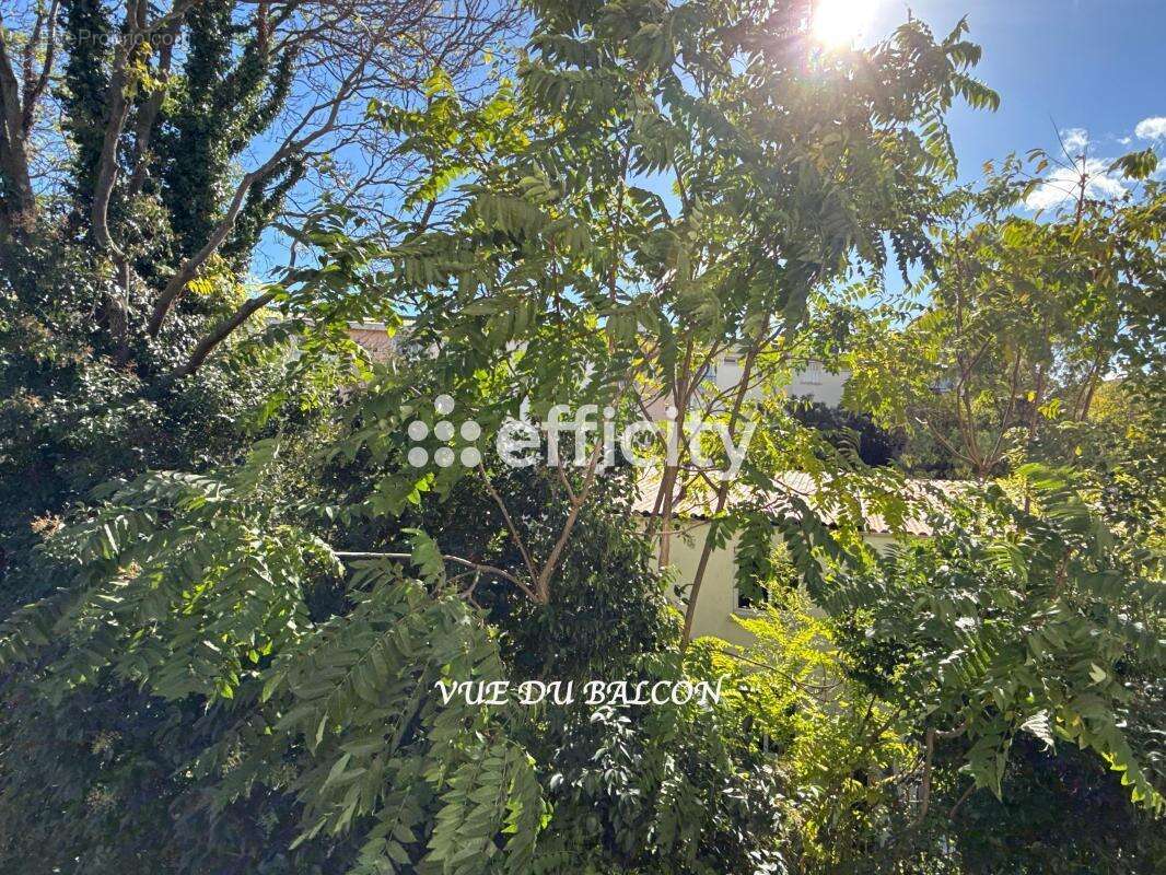 Appartement à CASTELNAU-LE-LEZ