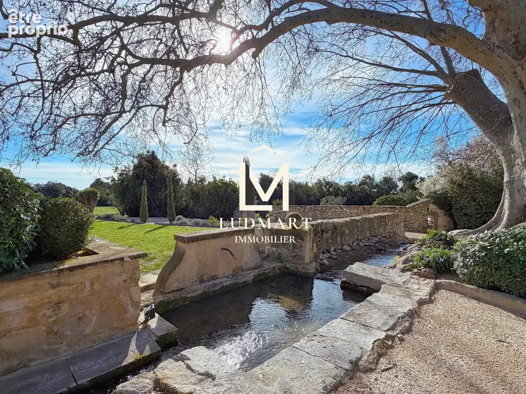 Propriété d’exception de 1300m2 au cœur des Alpilles — Domaine de 7,3 ha avec oliveraie - photo 4