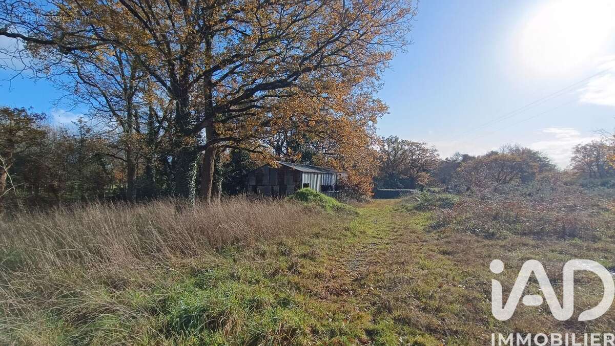 Photo 5 - Terrain à LES SORINIERES