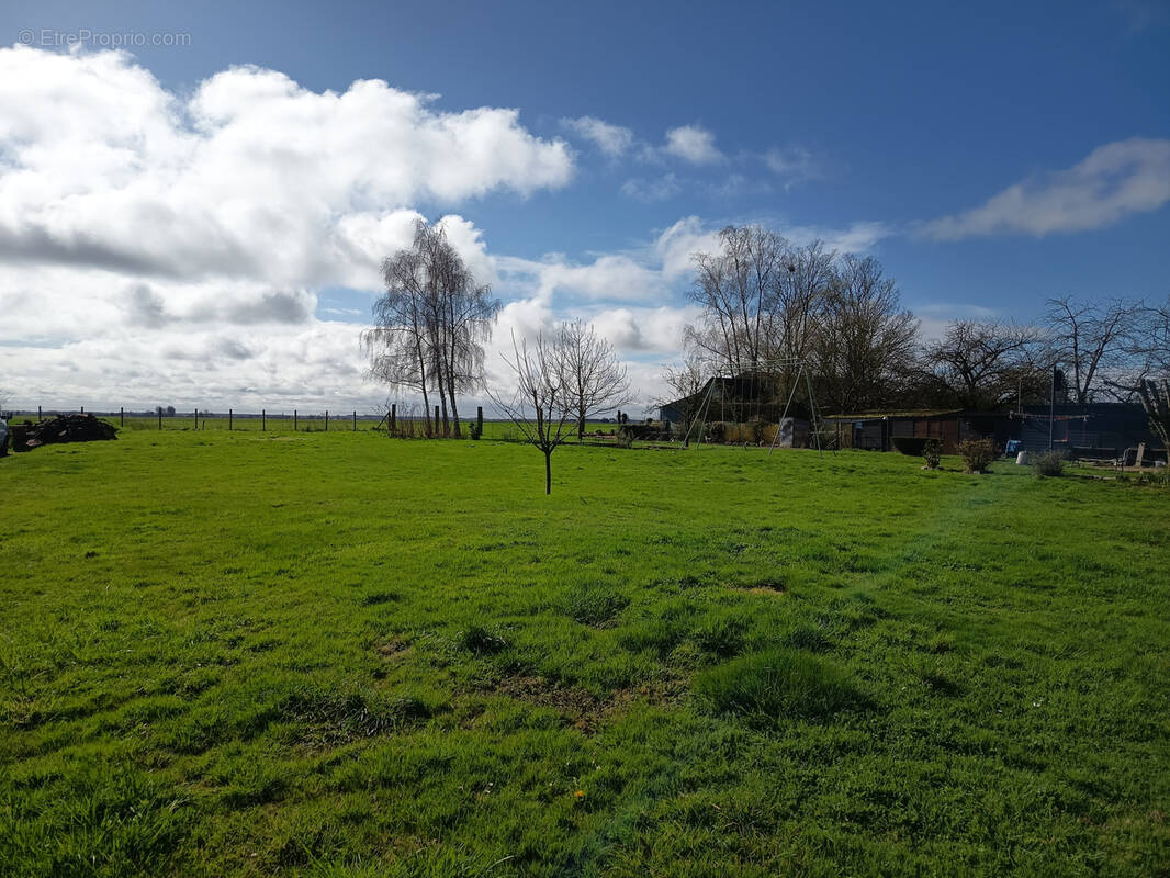 Terrain à CRASVILLE