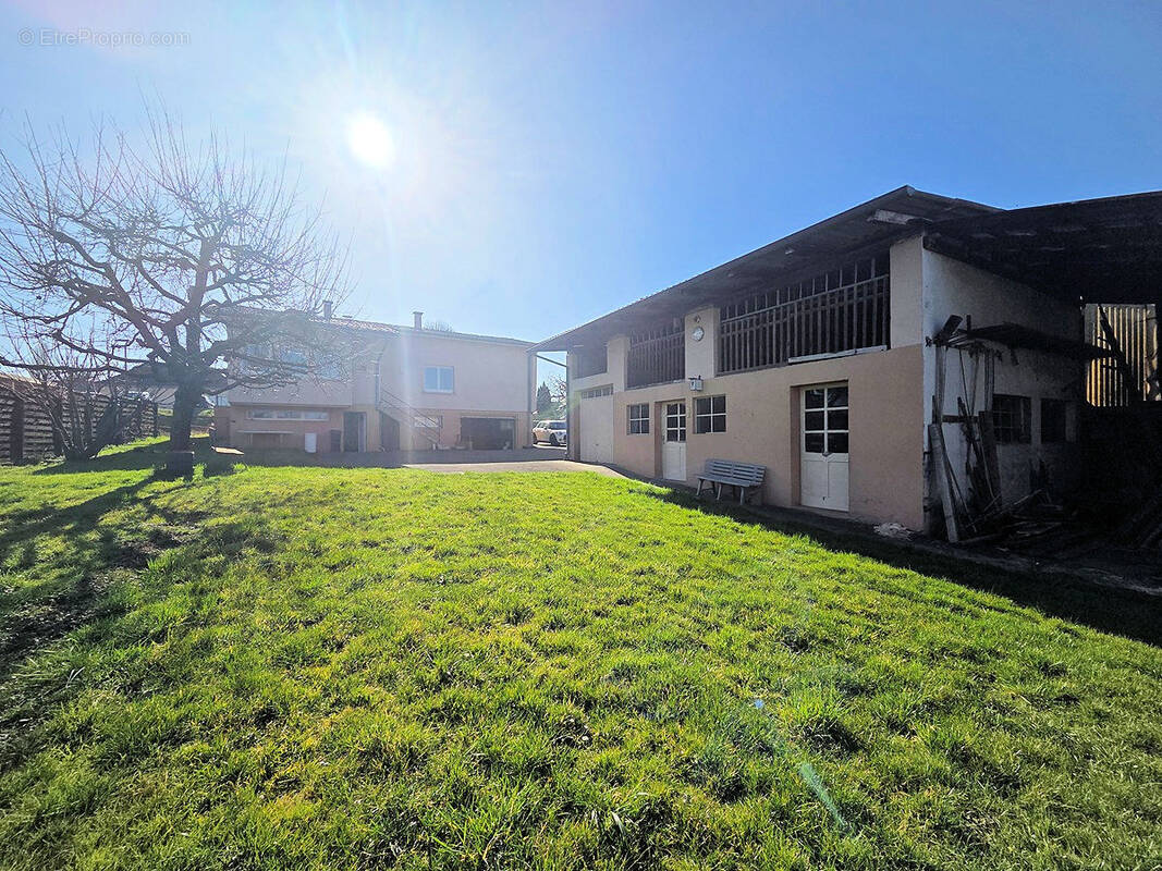 Maison à MICHELBACH-LE-BAS