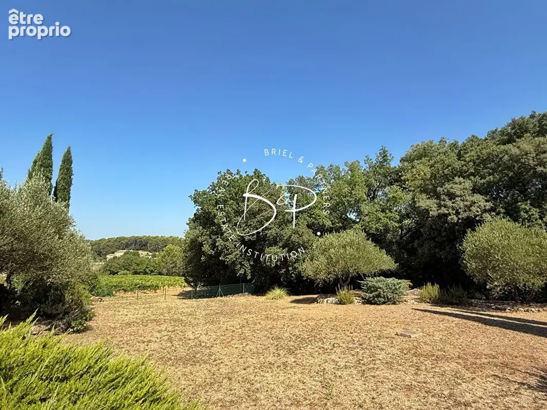 Entre Lorgues et Saint-Antonin ? Villa provençale 4 chambres au coeur d'une oliveraie - photo 18