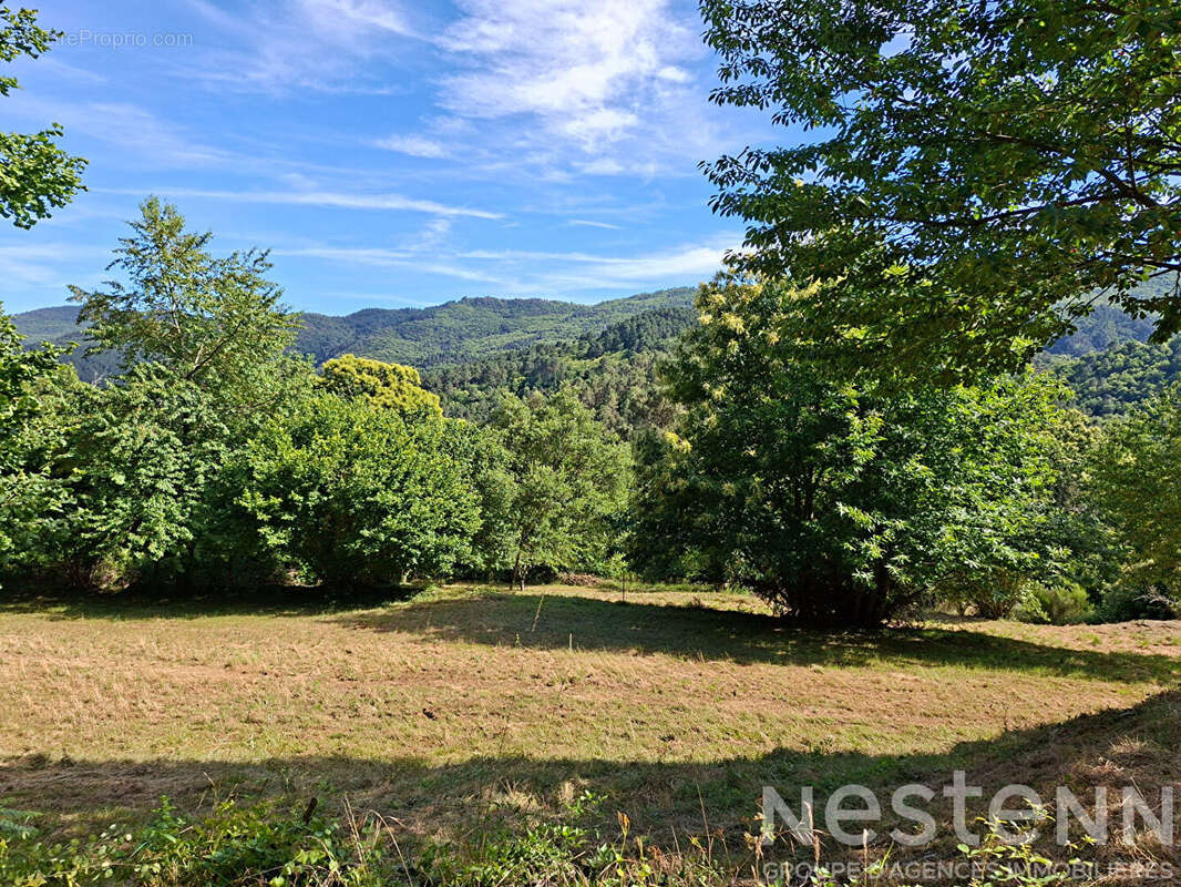 Maison en pierre avec 4 ha de terrain ? Vue dégagée, calme ? Le Collet-de-Dèze (Cévennes) - photo 10