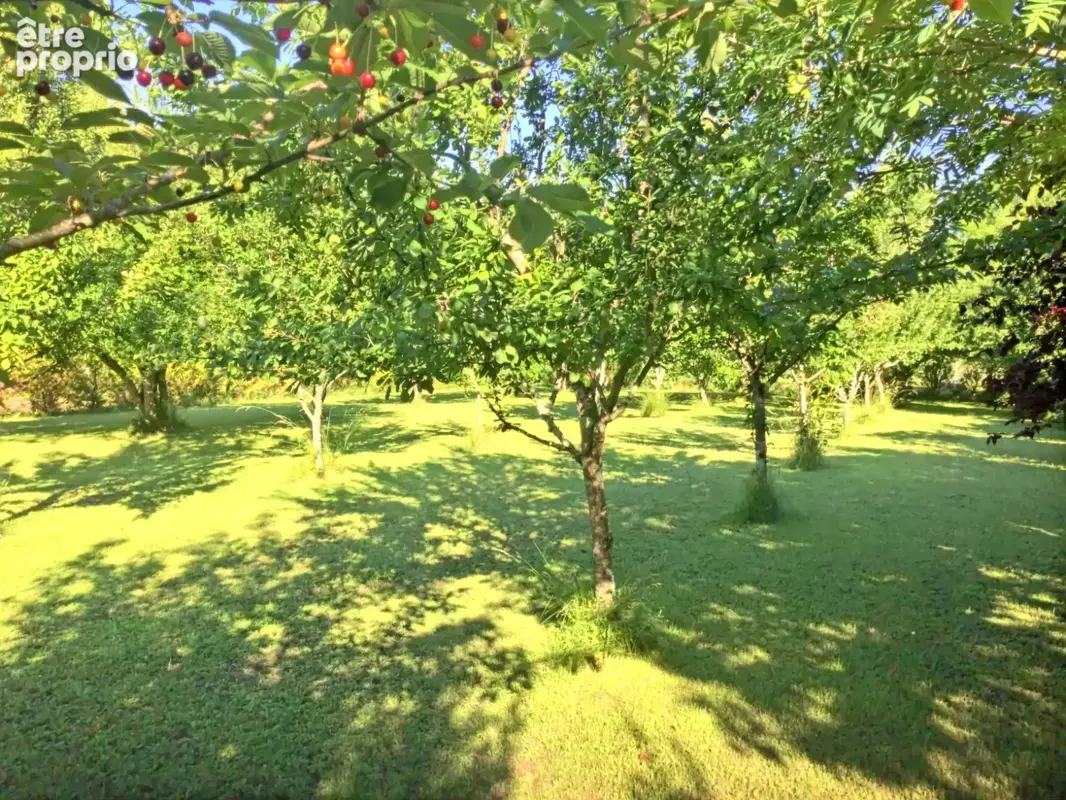 Propriété du 19e - deux logements indépendants - piscine et terrain de 1,1 ha – estuaire de la gironde. - photo 28
