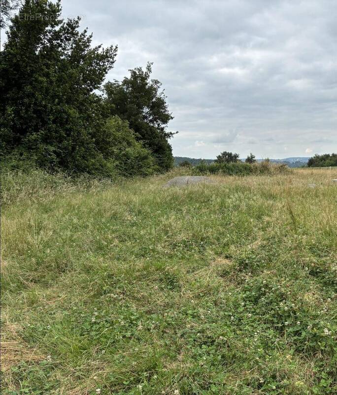 Terrain 3000 m² à Pointis-Inard  - photo 2