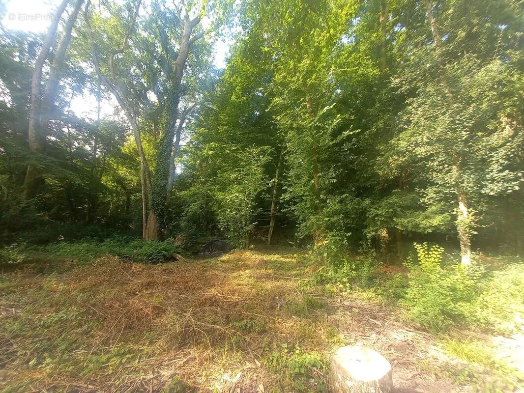 Maison à MONTIGNY-LENCOUP