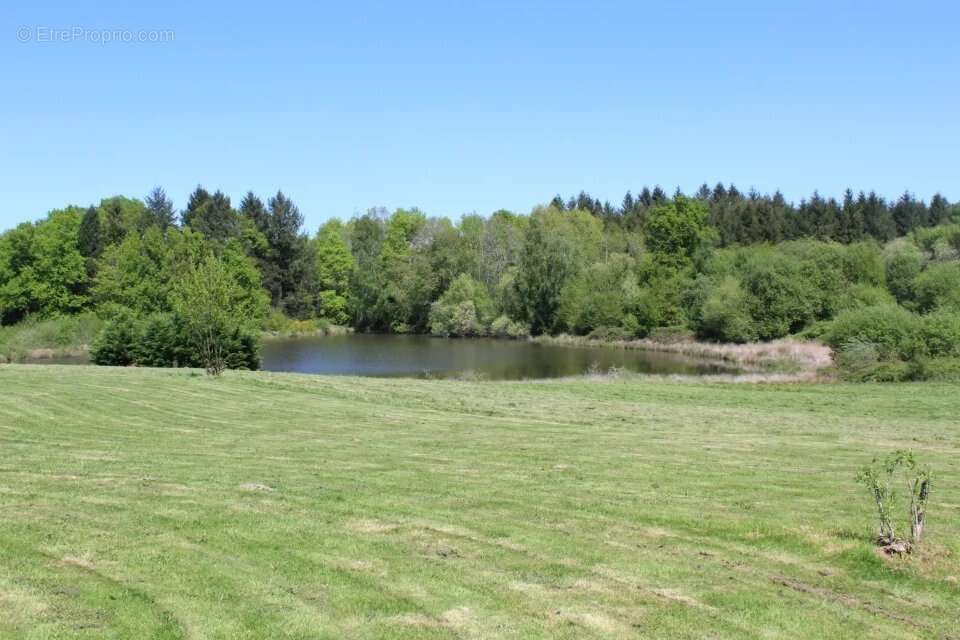 Propriété de charme avec lac, prairie, piscine et dépendances - photo 16
