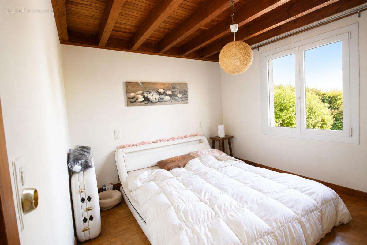 Maison bois type chalet 125 m² sur terrain de 5 110 m² divisible - ONESSE-ETR-LAHARIE - photo 8