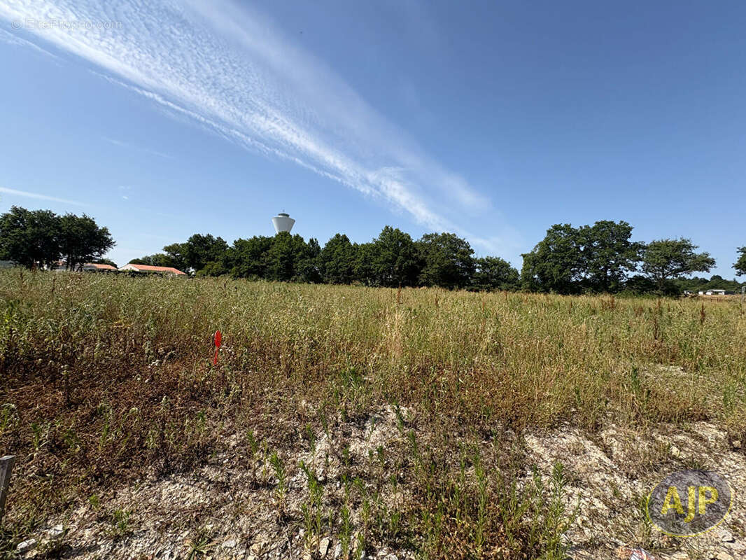 Apremont Terrain  374 m2 - photo 3