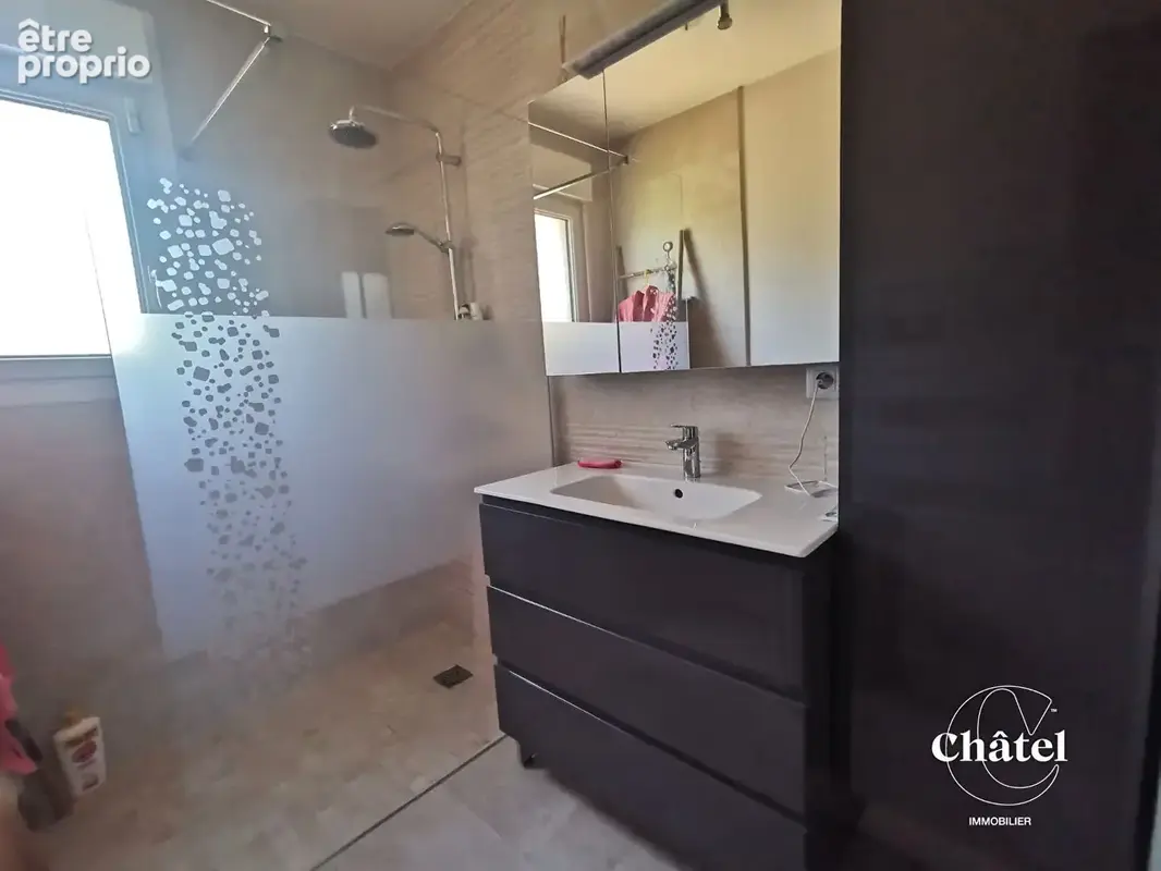 Maison  4 ch , 2 salles d'eau, sous sol aménagé , jardin arboré, véranda, garages - photo 8