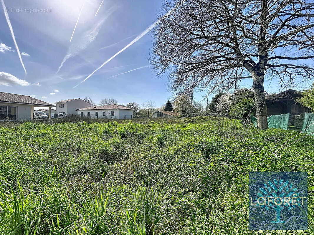 Terrain à SAINT-GEOURS-DE-MAREMNE