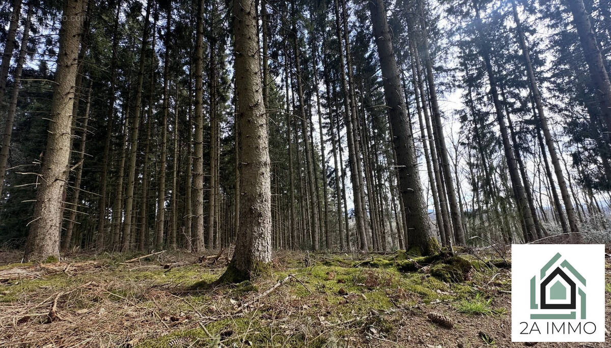 Terrain à BROMONT-LAMOTHE