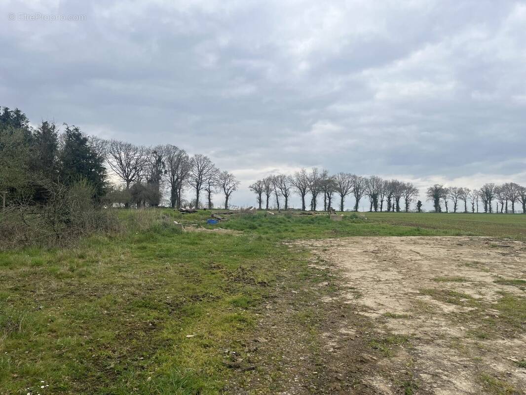 Terrain à TAUPONT
