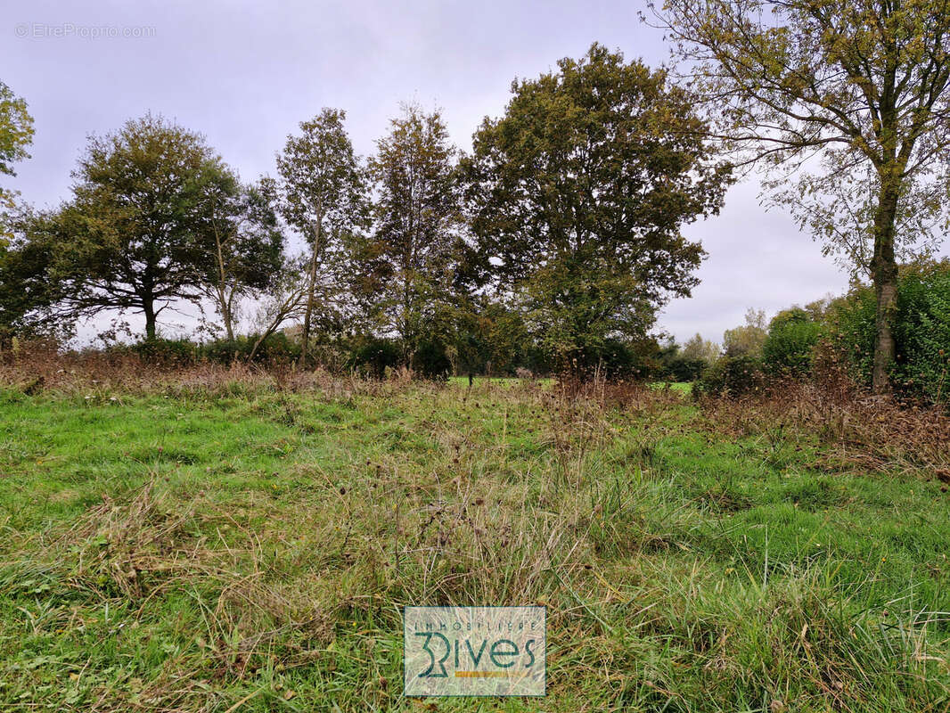 Terrain à THORIGNE-D&#039;ANJOU