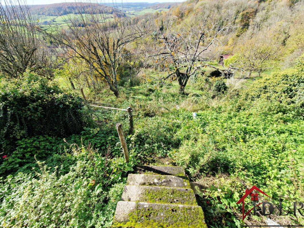 RARE   Maison de Village avec Vue et Potentiel à Coiffy-le- - photo 12