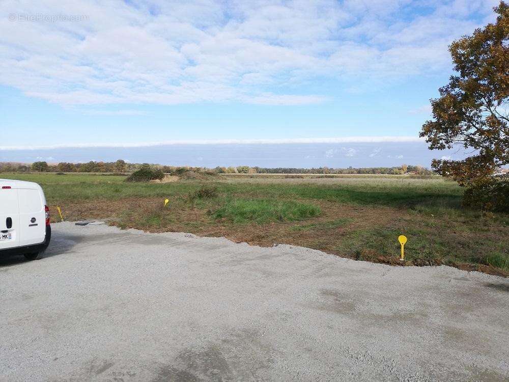 Terrain à LAMASQUERE