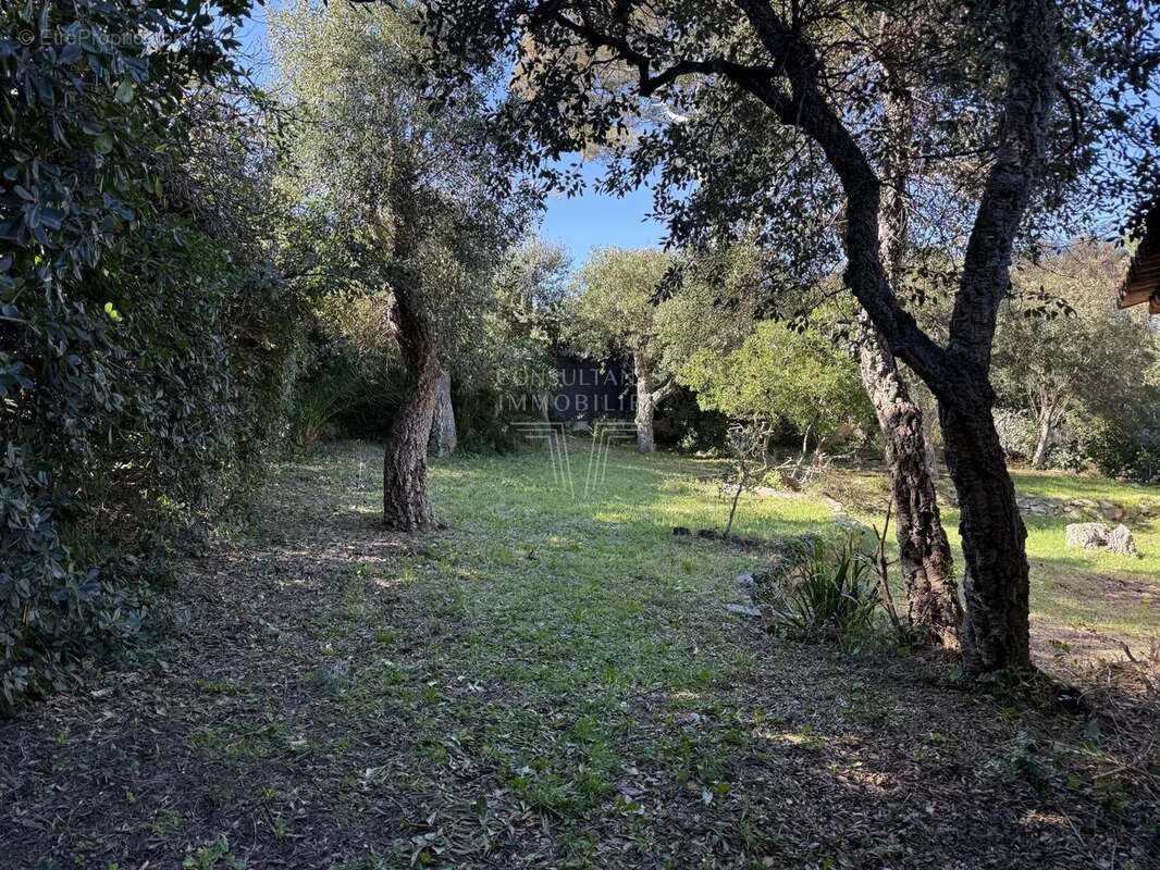 Maison à RAMATUELLE