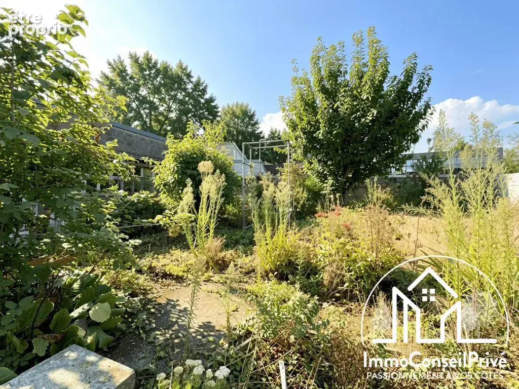 Maison 7 pièces 150 m² à vendre à Libercourt (62820) - photo 3