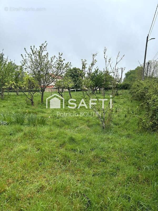 Terrain 1623 m² à Saint-Martin-De-Saint-Maixent  - photo 2