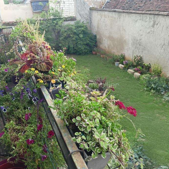 Maison à VILLENEUVE-L'ARCHEVEQUE