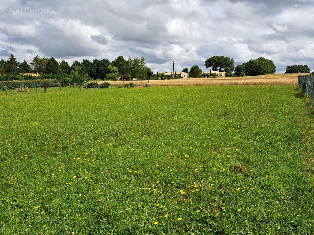 Terrain 1337 m² à Baignes-Sainte-Radegonde  - photo 4