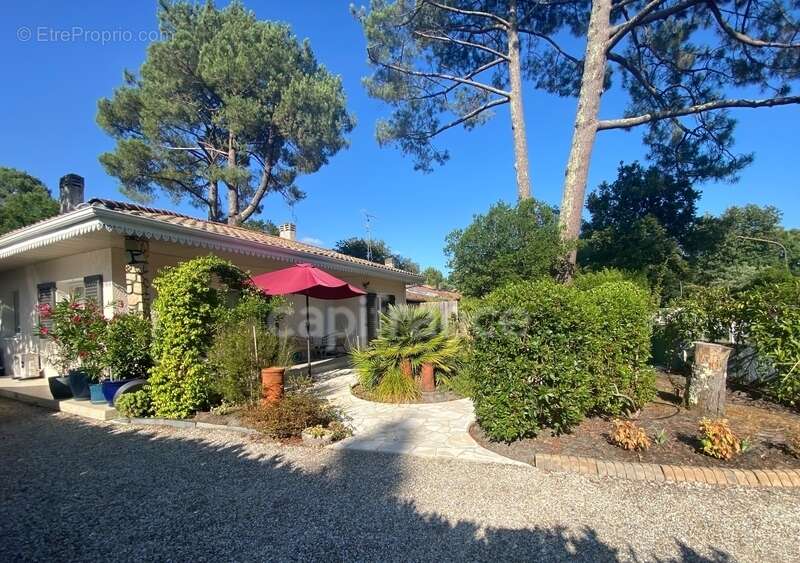 EXCLUSIVITÉ Lacanau - Plage du Port du Lac - Maison 3pièces sur terrain de 515m² sans limite d'emprise - photo 2
