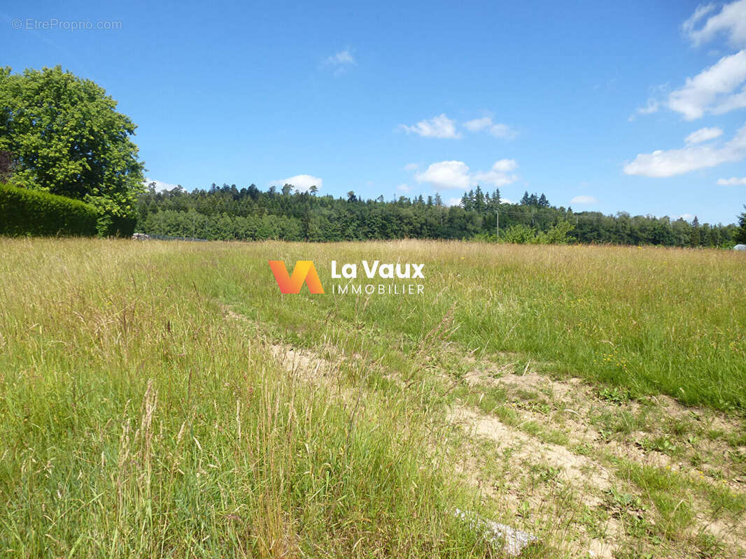 Terrain à LACHAPELLE