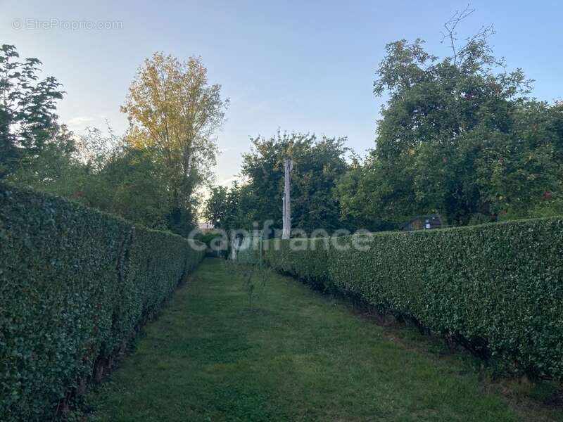 Maison à VALENCIENNES