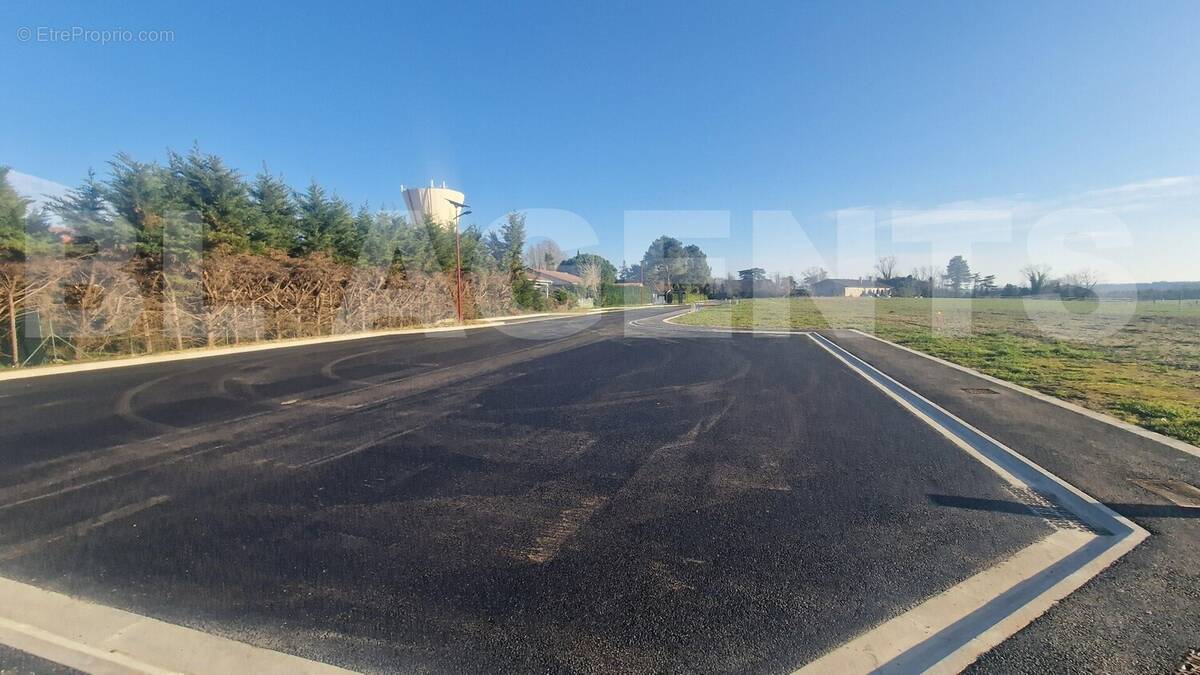 20250217_165157 - Terrain à CASTELSARRASIN