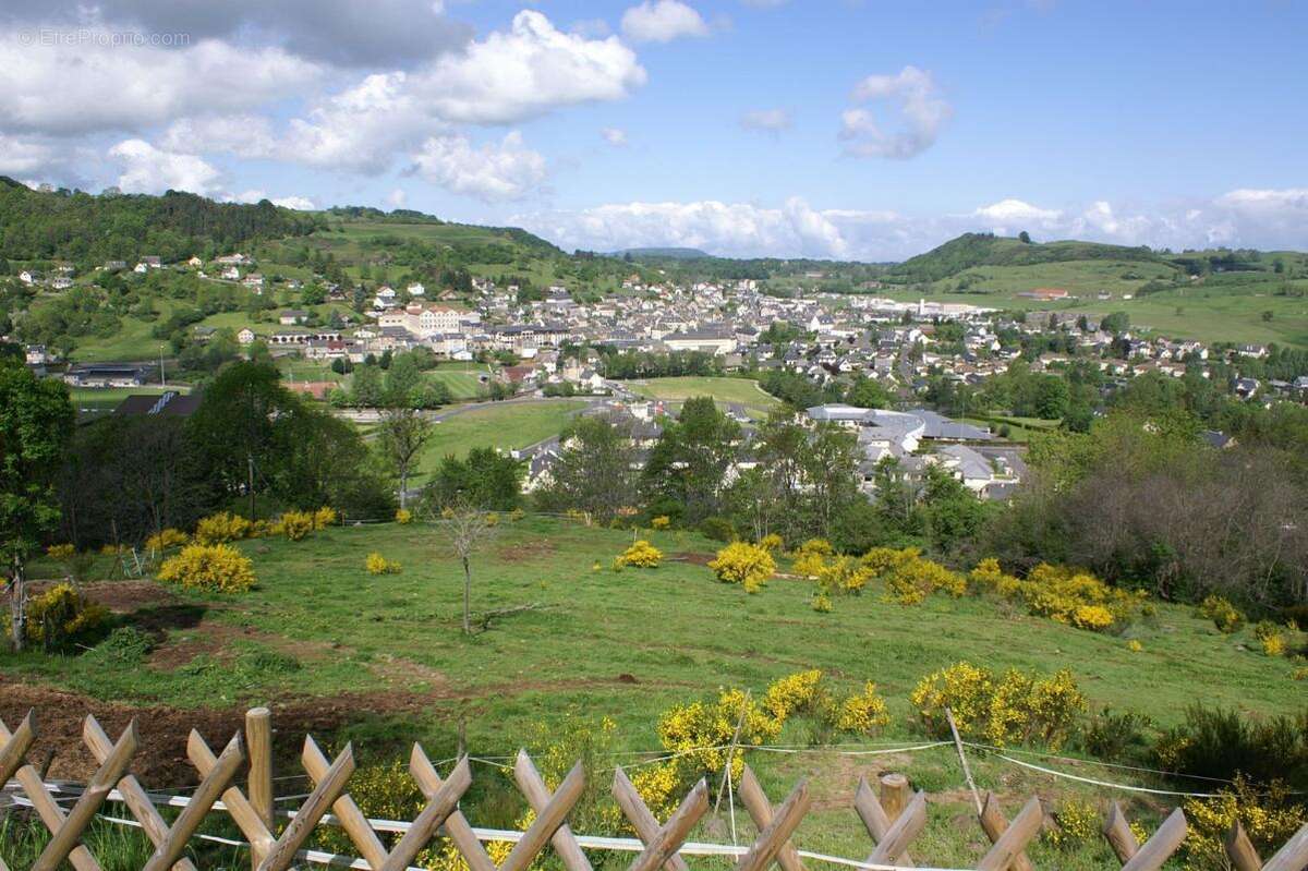RIOM-ES-MONTAGNES  : Idéal investissement locatif - photo 3