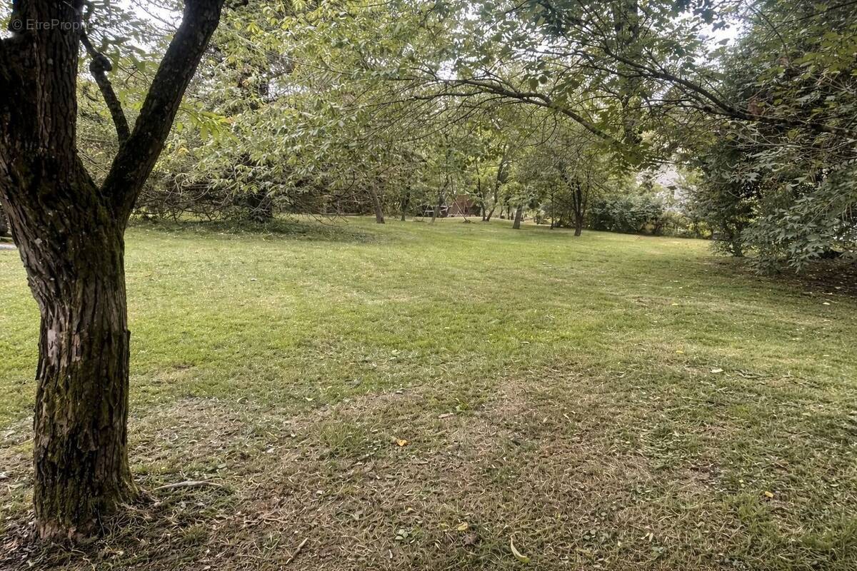 Terrain à BOUSSY-SAINT-ANTOINE