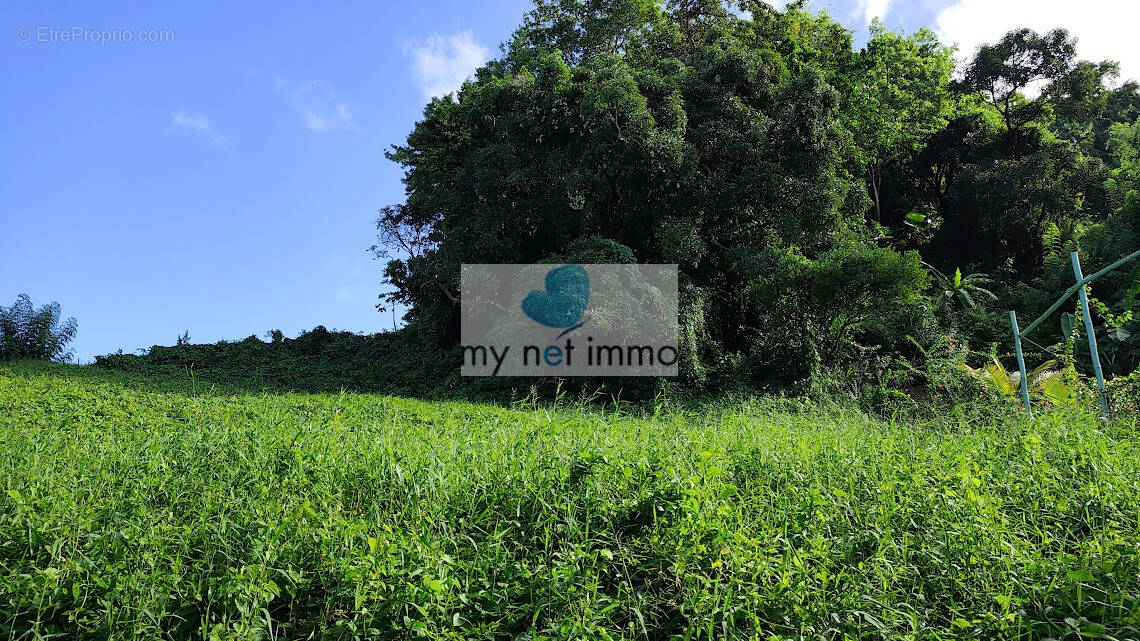 Terrain à LE FRANCOIS