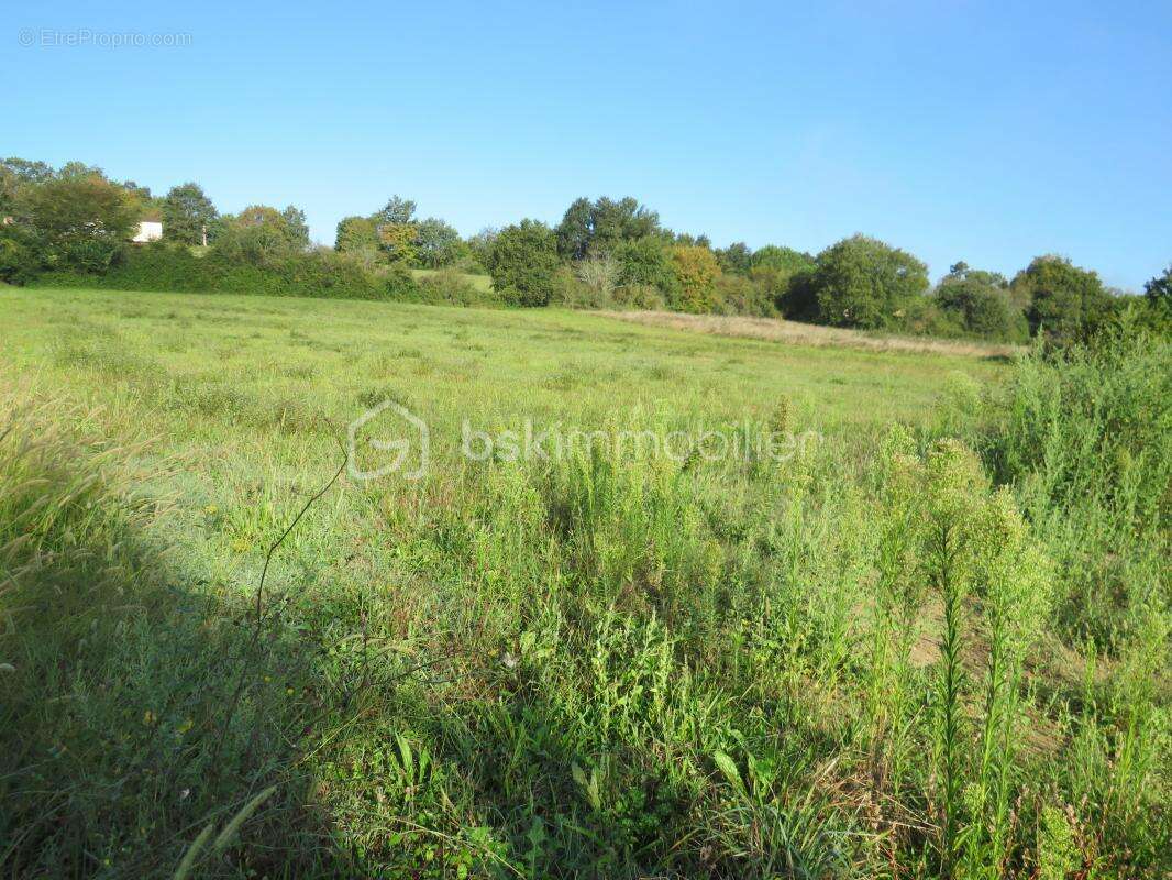 Terrain constructible de 6038 m² au calme vue dominante - photo 3