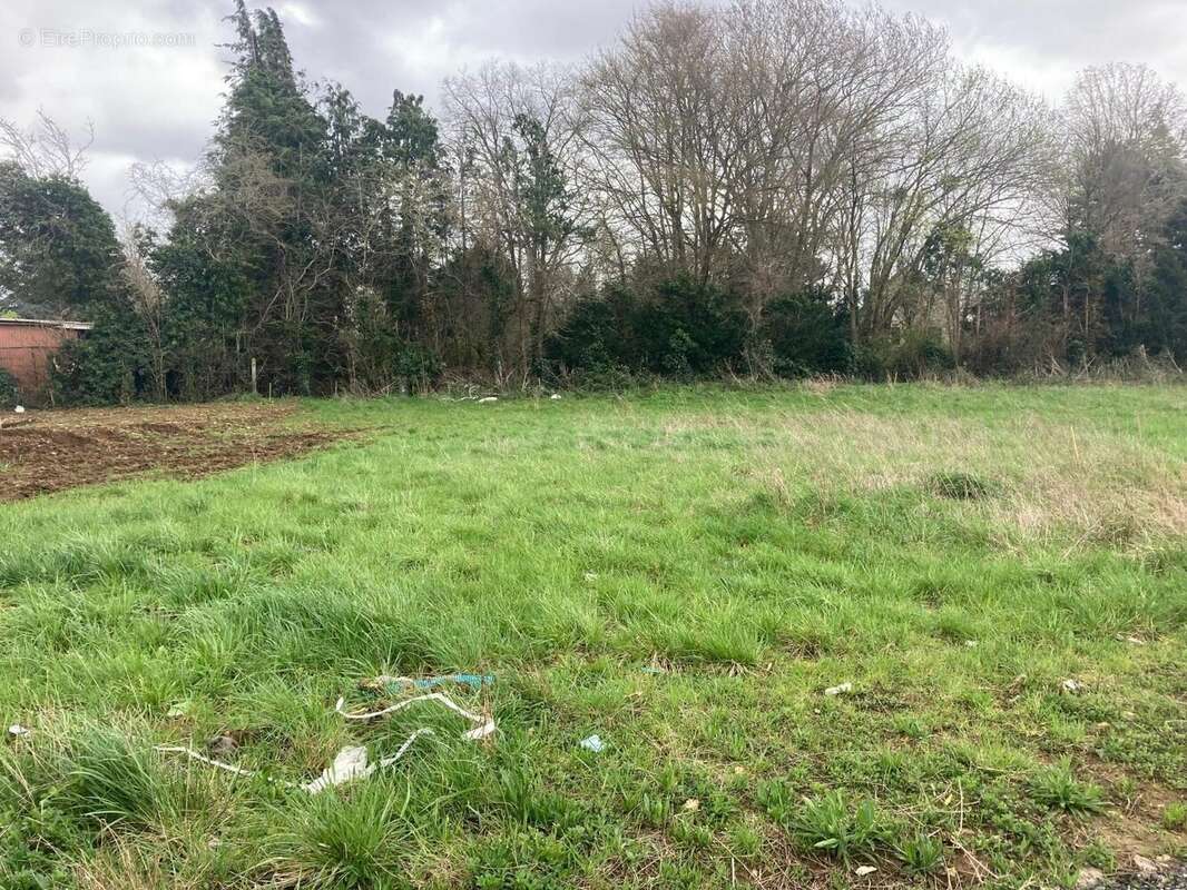 Terrain à MAIZIERES