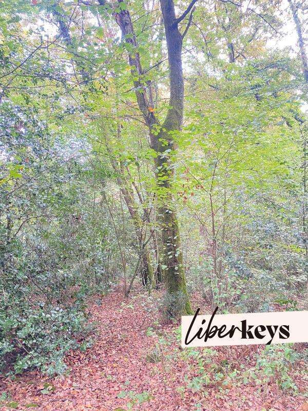 Terrain à SAINTE-COLOMBE