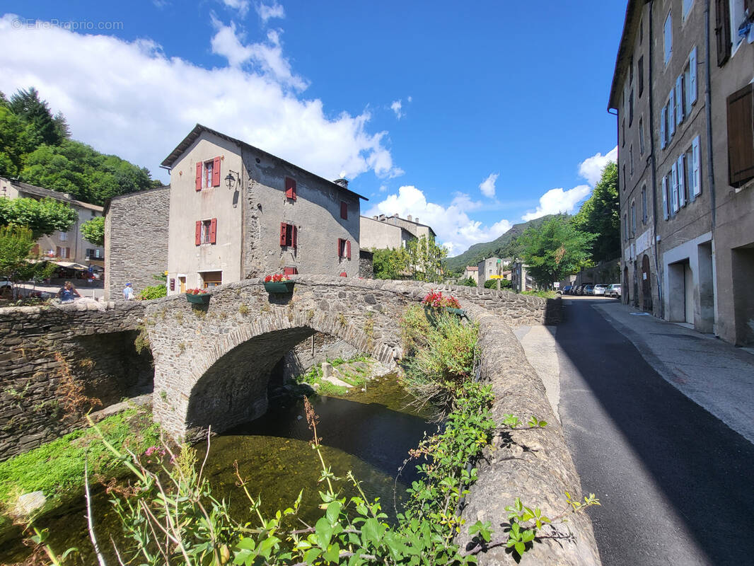 Maison à SAINT-ANDRE-DE-VALBORGNE