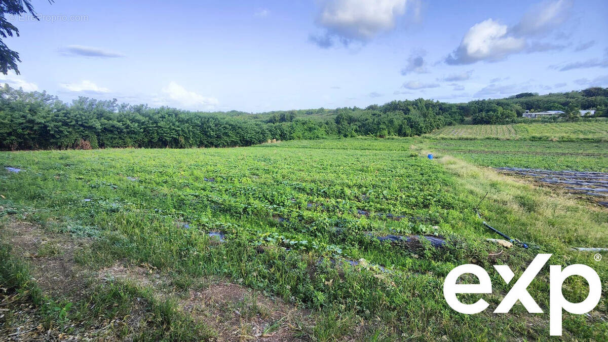 Terrain à LE VAUCLIN