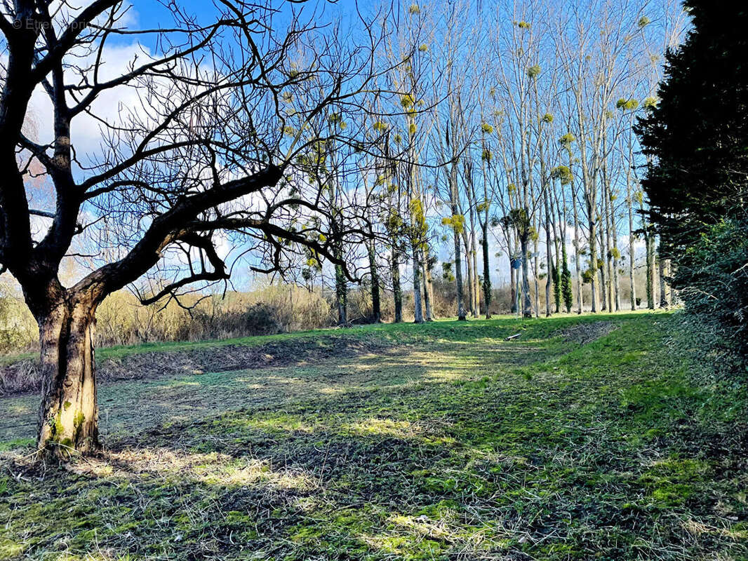 Terrain de loisir avec étang - 7 650 m² de nature - photo 7