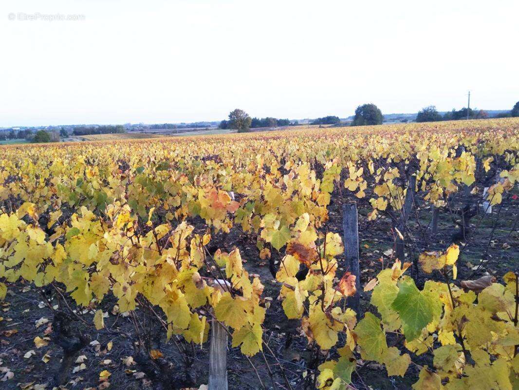 Maison à SAINT-AIGNAN