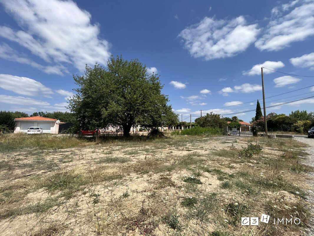 Terrain à CARBONNE
