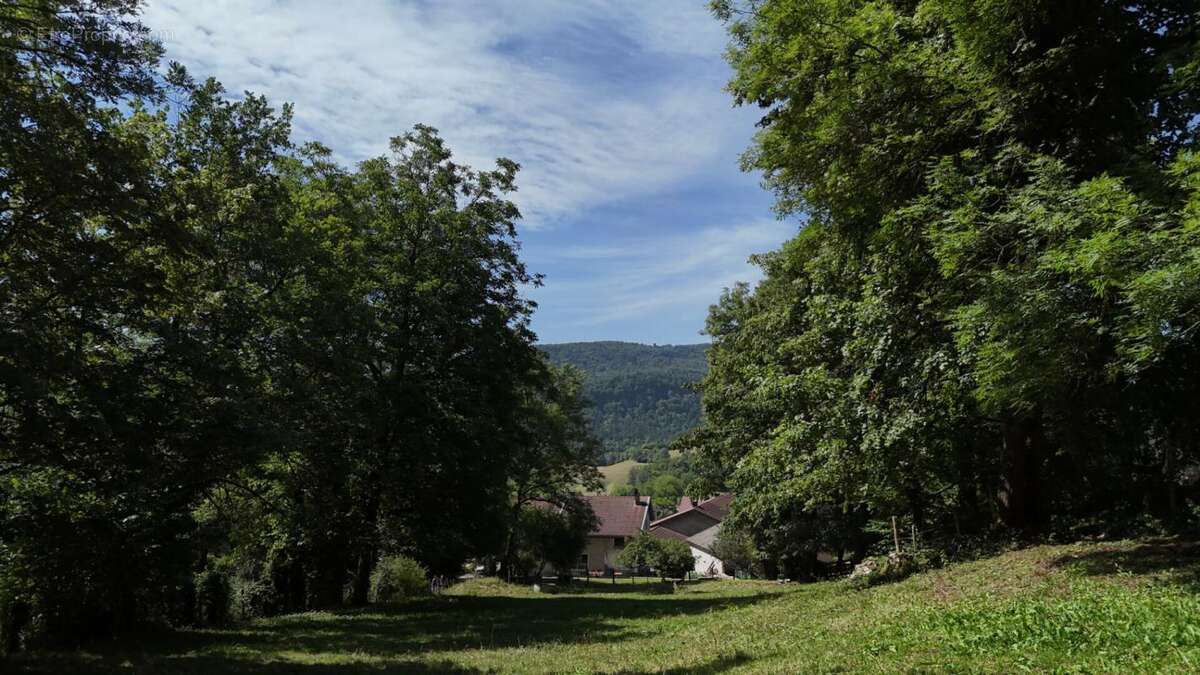 Maison en pierres avec 3 chambres, proche de la rivière d'Ain ? Coisia (Thoirette-Coisia) - photo 5