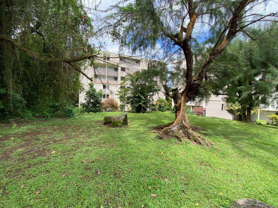 Appartement à FORT-DE-FRANCE